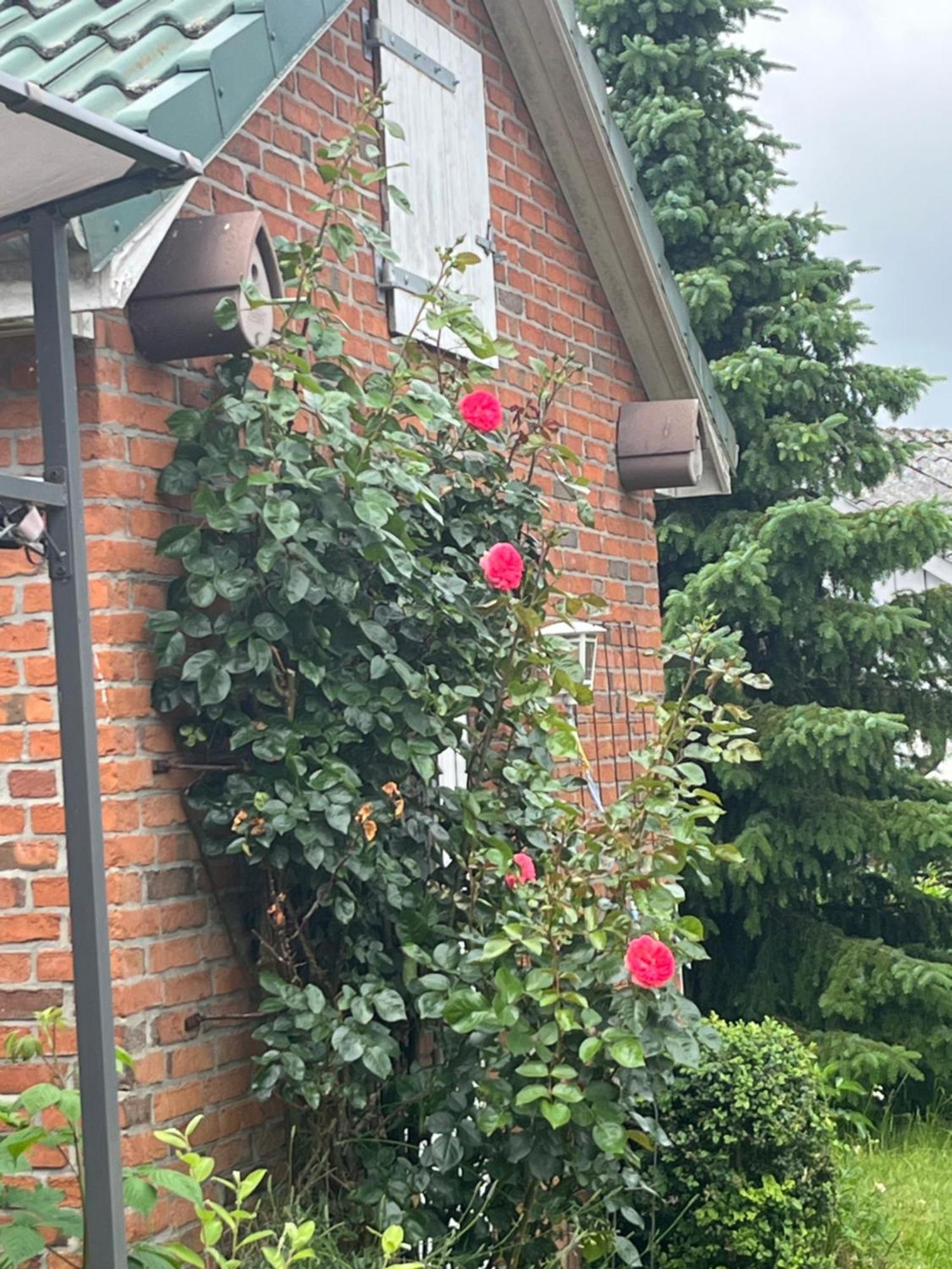 Gartenzimmer Zwischen Den Meeren Ladelund Exteriör bild